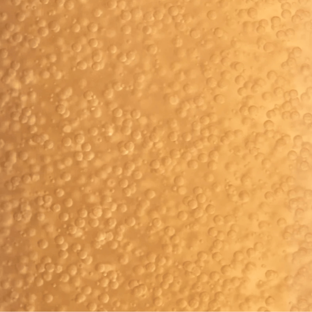 Payot Supreme Absolu Micro-Pearl Youth Infusion 100ml