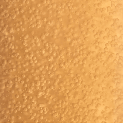 Payot Supreme Absolu Micro-Pearl Youth Infusion 100ml